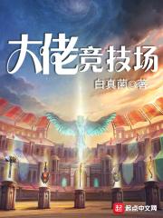 大佬竞技场无错