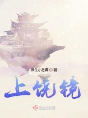 上饶镜头市场