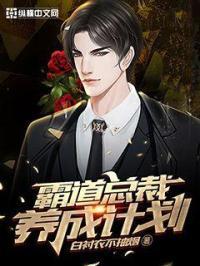 霸道总裁养成文