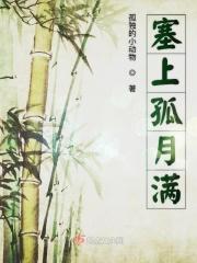 塞上曲什么意思