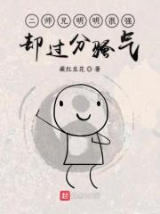 二师兄是什么意思