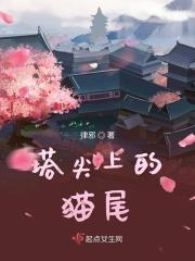 塔顶上的猫感悟