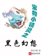 精灵宝可梦之黑色幻想