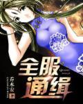 全服通缉攻略大全