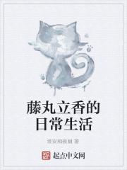 藤丸立香是什么位阶