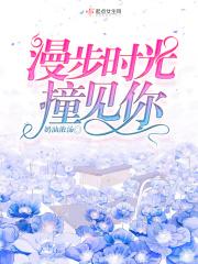 时光漫步歌词是什么意思