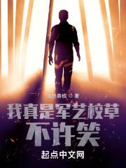 不许笑!全文免费阅读