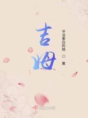 吉姆高达