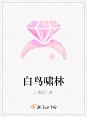 白鸟指什么意思