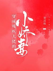 迟清洛秦衍书名