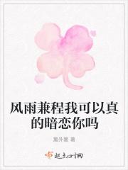 风雨兼程我可以真的暗恋你吗英文