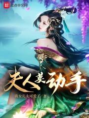 夫人莫动手为什么停更