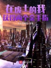 在废土上升级三次