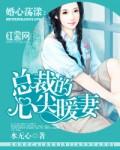 总裁的心尖暖妻免费全文阅读