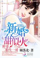 新婚宠妻宠二婚上瘾全集阅读