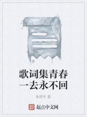 青春一去不返歌曲
