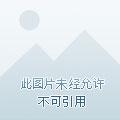 龙齿的功效与作用的功能与主治