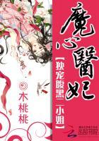 腹黑小魔妃慕无心