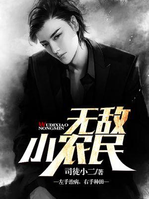 无敌小农民免费全文