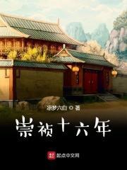 崇祯十六年李自成