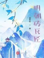 明朝城砖价格