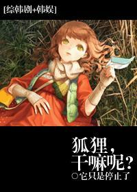 韩娱之狐狸