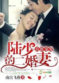 陆少的宠婚全集