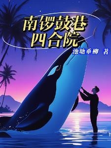 北京南锣鼓巷四合院酒店