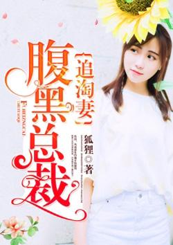腹黑总裁追妻忙全文免费阅读