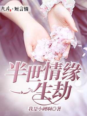 半生缘一世情