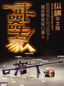 武器专家铁皮