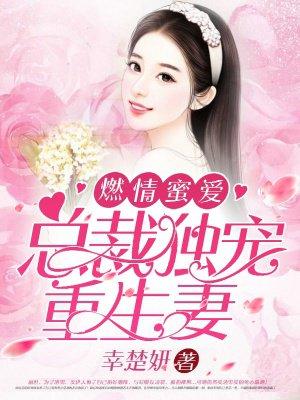 燃情蜜宠总裁的头号小鲜妻免费阅读全文