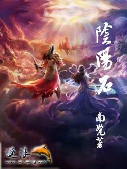 阴阳石头图片