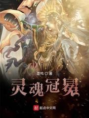 灵魂冠冕讲了个啥故事