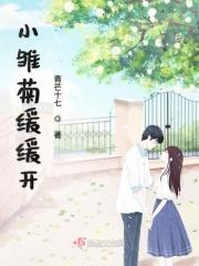 雏菊开了什么意思