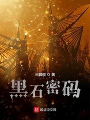 黑石密码完本TXT