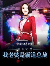 宠妻奶爸