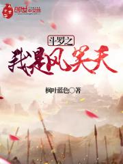斗罗之我是风笑天123