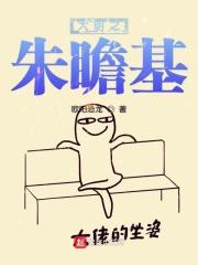 大明朱瞻基系统